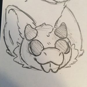 Meet your Posher, Paige